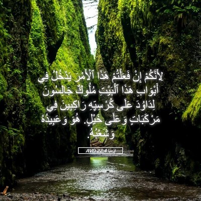 Picture 05 - إِرْمِيَا 22:4 AVD - لِأَنَّكُمْ إِنْ - Bible Verse Picture