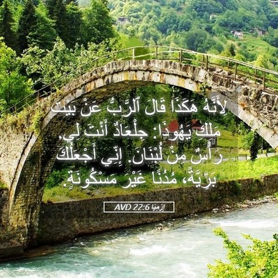 Picture 05 - إِرْمِيَا 22:6 AVD - لِأَنَّهُ هَكَذَا قَالَ - Bible Verse Picture