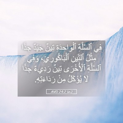 Picture 05 - إِرْمِيَا 24:2 AVD - فِي ٱلسَّلَّةِ - Bible Verse Picture