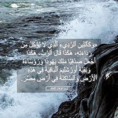 Picture 05 - إِرْمِيَا 24:8 AVD - «وَكَٱلتِّينِ ٱلرَّدِيءِ - Bible Verse Picture