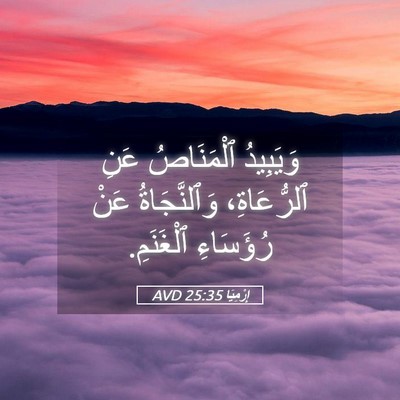 Picture 05 - إِرْمِيَا 25:35 AVD - وَيَبِيدُ ٱلْمَنَاصُ عَنِ - Bible Verse Picture