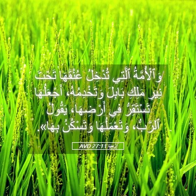 Picture 05 - إِرْمِيَا 27:11 AVD - وَٱلْأُمَّةُ ٱلَّتِي - Bible Verse Picture