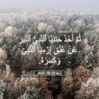 Picture 05 - إِرْمِيَا 28:10 AVD - ثُمَّ أَخَذَ حَنَنِيَّا - Bible Verse Picture