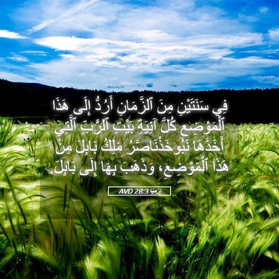 Picture 05 - إِرْمِيَا 28:3 AVD - فِي سَنَتَيْنِ مِنَ - Bible Verse Picture