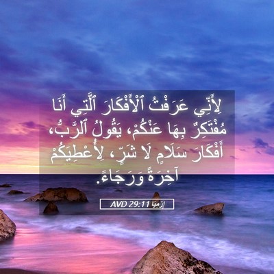 Picture 05 - إِرْمِيَا 29:11 AVD - لِأَنِّي عَرَفْتُ - Bible Verse Picture