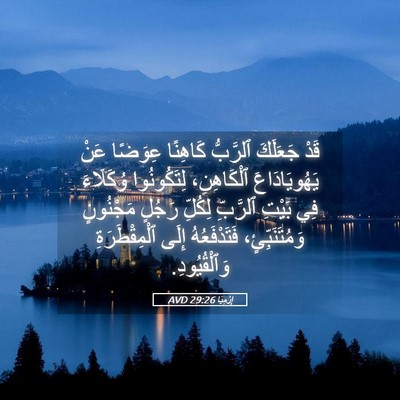 Picture 05 - إِرْمِيَا 29:26 AVD - قَدْ جَعَلَكَ ٱلرَّبُّ - Bible Verse Picture