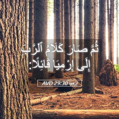 Picture 05 - إِرْمِيَا 29:30 AVD - ثُمَّ صَارَ كَلَامُ - Bible Verse Picture