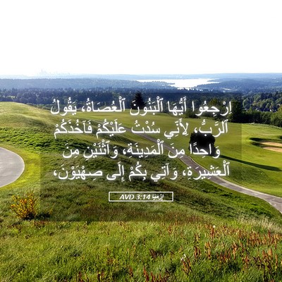 Picture 05 - إِرْمِيَا 3:14 AVD - اِرْجِعُوا أَيُّهَا - Bible Verse Picture