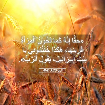 Picture 05 - إِرْمِيَا 3:20 AVD - «حَقًّا إِنَّهُ كَمَا - Bible Verse Picture