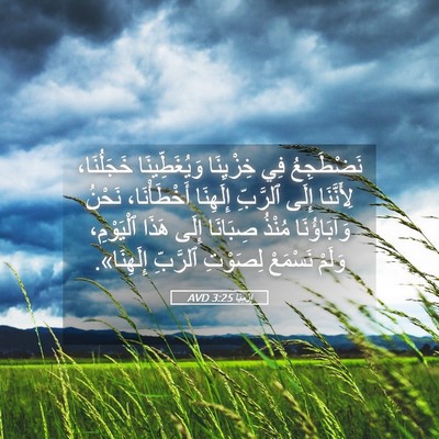 Picture 05 - إِرْمِيَا 3:25 AVD - نَضْطَجِعُ فِي خِزْيِنَا - Bible Verse Picture