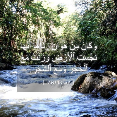 Picture 05 - إِرْمِيَا 3:9 AVD - وَكَانَ مِنْ هَوَانِ - Bible Verse Picture