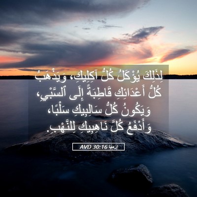 Picture 05 - إِرْمِيَا 30:16 AVD - لِذَلِكَ يُؤْكَلُ كُلُّ - Bible Verse Picture