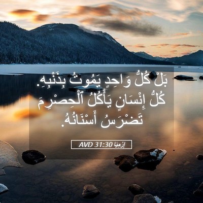 Picture 05 - إِرْمِيَا 31:30 AVD - بَلْ كُلُّ وَاحِدٍ يَمُوتُ - Bible Verse Picture