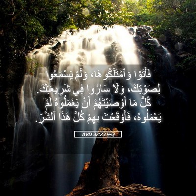 Picture 05 - إِرْمِيَا 32:23 AVD - فَأَتَوْا - Bible Verse Picture