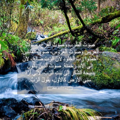 Picture 05 - إِرْمِيَا 33:11 AVD - صَوْتُ ٱلطَّرَبِ وَصَوْتُ - Bible Verse Picture