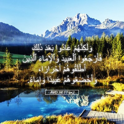 Picture 05 - إِرْمِيَا 34:11 AVD - وَلَكِنَّهُمْ عَادُوا - Bible Verse Picture