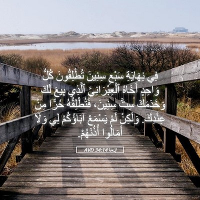 Picture 05 - إِرْمِيَا 34:14 AVD - فِي نِهَايَةِ سَبْعِ - Bible Verse Picture