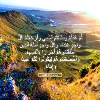 Picture 05 - إِرْمِيَا 34:16 AVD - ثُمَّ عُدْتُمْ - Bible Verse Picture