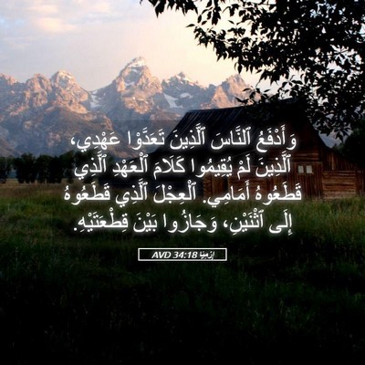 Picture 05 - إِرْمِيَا 34:18 AVD - وَأَدْفَعُ ٱلنَّاسَ - Bible Verse Picture