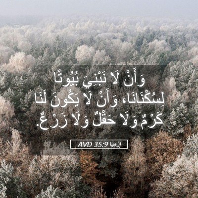 Picture 05 - إِرْمِيَا 35:9 AVD - وَأَنْ لَا نَبْنِيَ - Bible Verse Picture