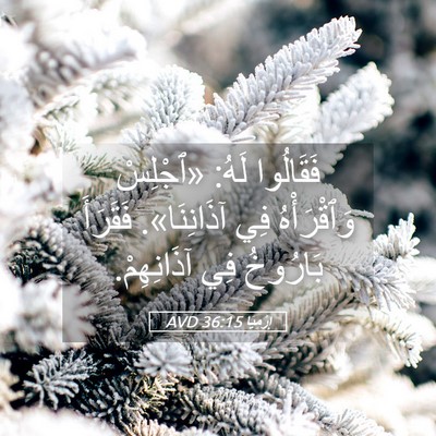 Picture 05 - إِرْمِيَا 36:15 AVD - فَقَالُوا لَهُ: «ٱجْلِسْ - Bible Verse Picture