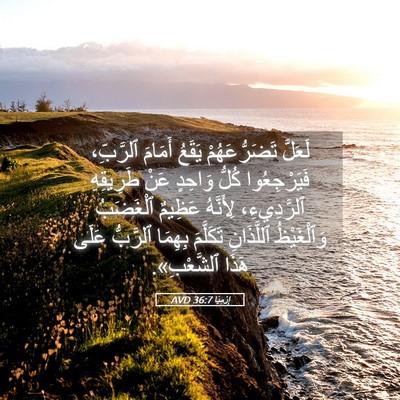 Picture 05 - إِرْمِيَا 36:7 AVD - لَعَلَّ تَضَرُّعَهُمْ - Bible Verse Picture
