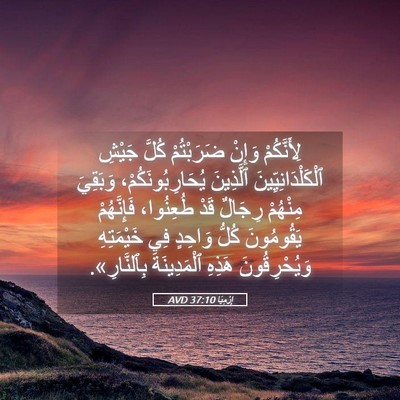 Picture 05 - إِرْمِيَا 37:10 AVD - لِأَنَّكُمْ وَإِنْ - Bible Verse Picture