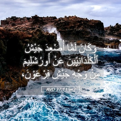 Picture 05 - إِرْمِيَا 37:11 AVD - وَكَانَ لَمَّا أُصْعِدَ - Bible Verse Picture