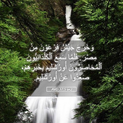 Picture 05 - إِرْمِيَا 37:5 AVD - وَخَرَجَ جَيْشُ - Bible Verse Picture