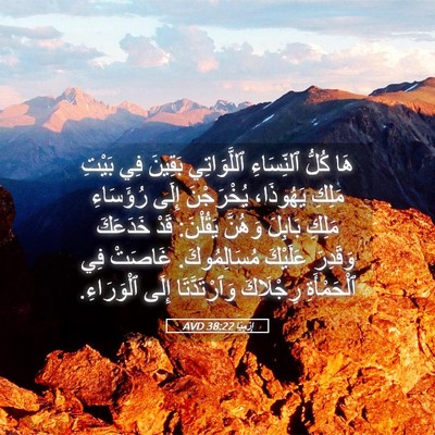 Picture 05 - إِرْمِيَا 38:22 AVD - هَا كُلُّ ٱلنِّسَاءِ - Bible Verse Picture