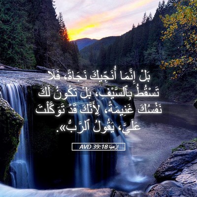 Picture 05 - إِرْمِيَا 39:18 AVD - بَلْ إِنَّمَا أُنَجِّيكَ - Bible Verse Picture