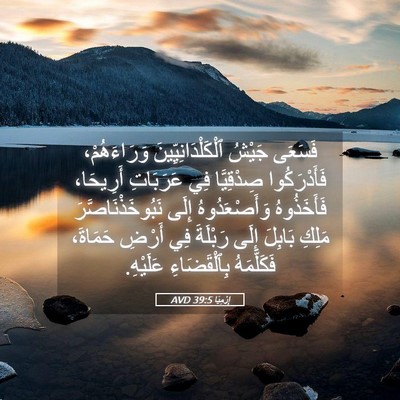 Picture 05 - إِرْمِيَا 39:5 AVD - فَسَعَى جَيْشُ - Bible Verse Picture