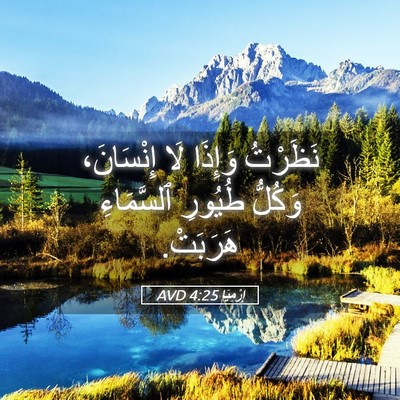 Picture 05 - إِرْمِيَا 4:25 AVD - نَظَرْتُ وَإِذَا لَا - Bible Verse Picture