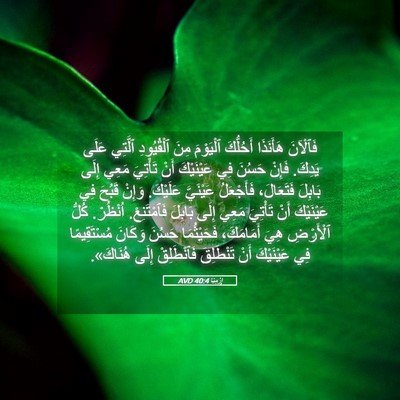 Picture 05 - إِرْمِيَا 40:4 AVD - فَٱلْآنَ هَأَنَذَا - Bible Verse Picture