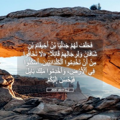 Picture 05 - إِرْمِيَا 40:9 AVD - فَحَلَفَ لَهُمْ جَدَلْيَا - Bible Verse Picture