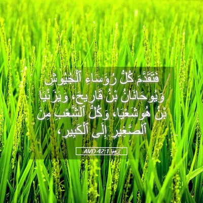 Picture 05 - إِرْمِيَا 42:1 AVD - فَتَقَدَّمَ كُلُّ - Bible Verse Picture