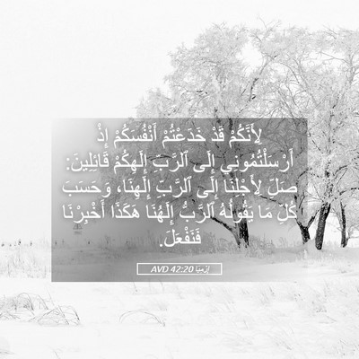 Picture 05 - إِرْمِيَا 42:20 AVD - لِأَنَّكُمْ قَدْ - Bible Verse Picture
