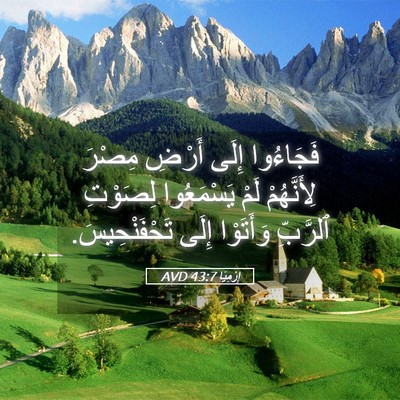 Picture 05 - إِرْمِيَا 43:7 AVD - فَجَاءُوا إِلَى أَرْضِ - Bible Verse Picture