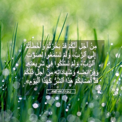 Picture 05 - إِرْمِيَا 44:23 AVD - مِنْ أَجْلِ أَنَّكُمْ قَدْ - Bible Verse Picture