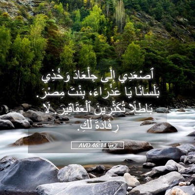 Picture 05 - إِرْمِيَا 46:11 AVD - ٱصْعَدِي إِلَى جِلْعَادَ - Bible Verse Picture