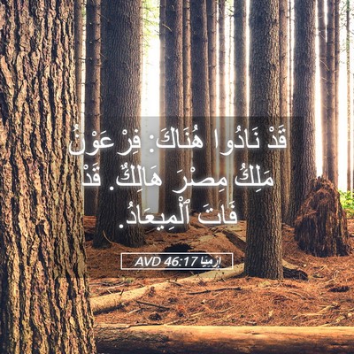 Picture 05 - إِرْمِيَا 46:17 AVD - قَدْ نَادُوا هُنَاكَ: - Bible Verse Picture