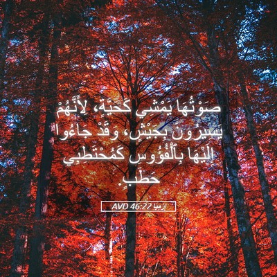 Picture 05 - إِرْمِيَا 46:22 AVD - صَوْتُهَا يَمْشِي - Bible Verse Picture