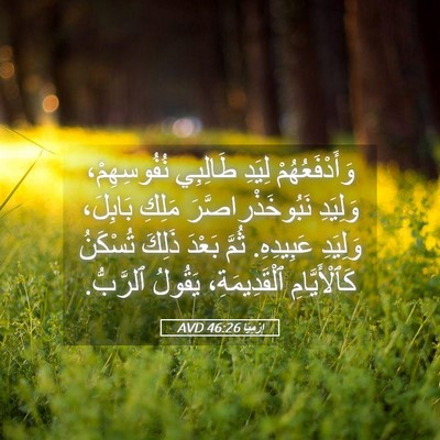 Picture 05 - إِرْمِيَا 46:26 AVD - وَأَدْفَعُهُمْ لِيَدِ - Bible Verse Picture