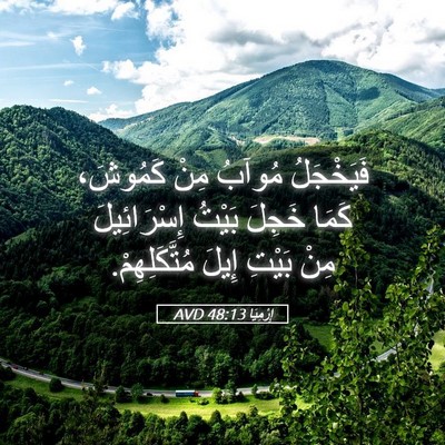 Picture 05 - إِرْمِيَا 48:13 AVD - فَيَخْجَلُ مُوآبُ مِنْ - Bible Verse Picture