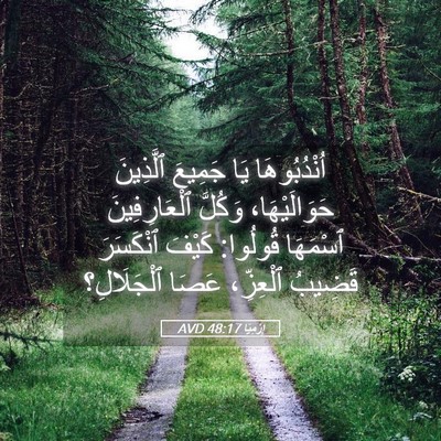 Picture 05 - إِرْمِيَا 48:17 AVD - اُنْدُبُوهَا يَا جَمِيعَ - Bible Verse Picture
