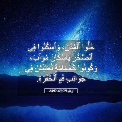 Picture 05 - إِرْمِيَا 48:28 AVD - خَلُّوا ٱلْمُدُنَ، - Bible Verse Picture