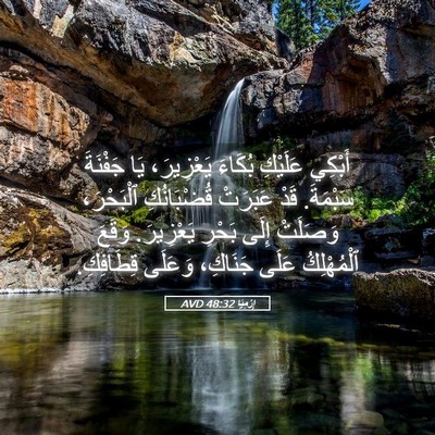 Picture 05 - إِرْمِيَا 48:32 AVD - أَبْكِي عَلَيْكِ بُكَاءَ - Bible Verse Picture