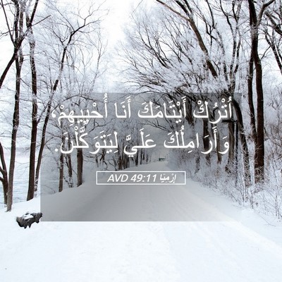 Picture 05 - إِرْمِيَا 49:11 AVD - اُتْرُكْ أَيْتَامَكَ - Bible Verse Picture