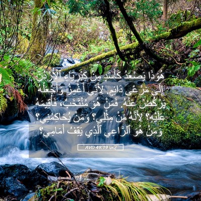 Picture 05 - إِرْمِيَا 49:19 AVD - هُوَذَا يَصْعَدُ كَأَسَدٍ - Bible Verse Picture