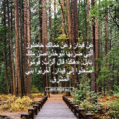 Picture 05 - إِرْمِيَا 49:28 AVD - عَنْ قِيدَارَ وَعَنْ - Bible Verse Picture